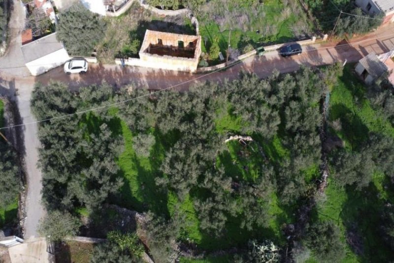 Kokkino Chorio Kreta, Kokkino Chorio: Eckgrundstück in der Nähe des Dorfes und der Einkaufsmöglichkeiten zu verkaufen Grundstück kaufen